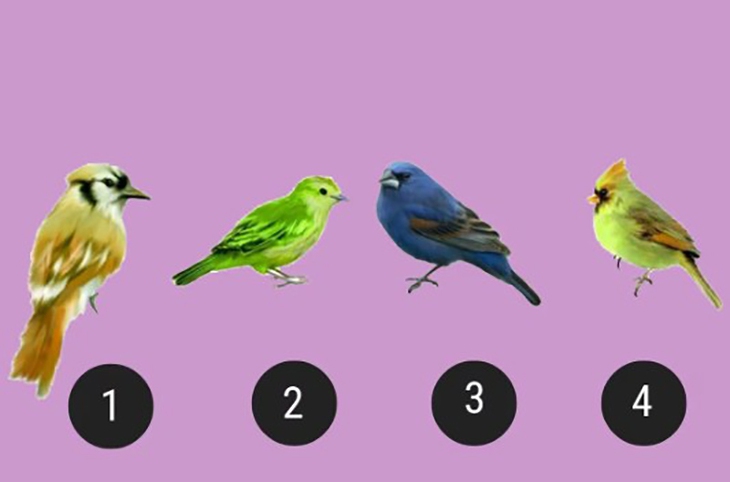 quiz - Ảnh 1.