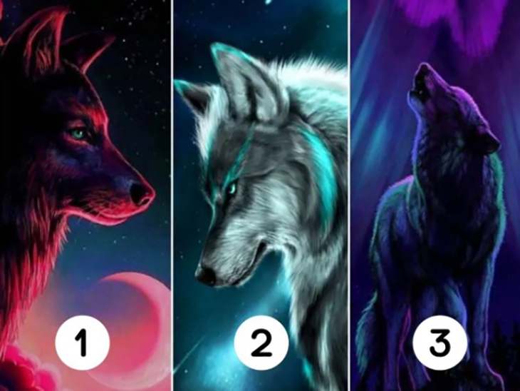 quiz - Ảnh 1.
