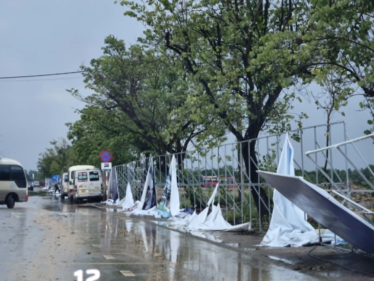 mưa - Ảnh 4.