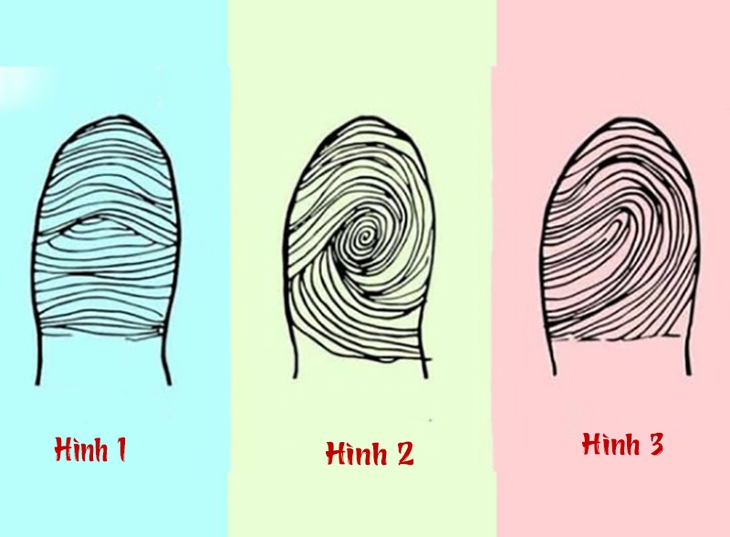 quiz - Ảnh 1.