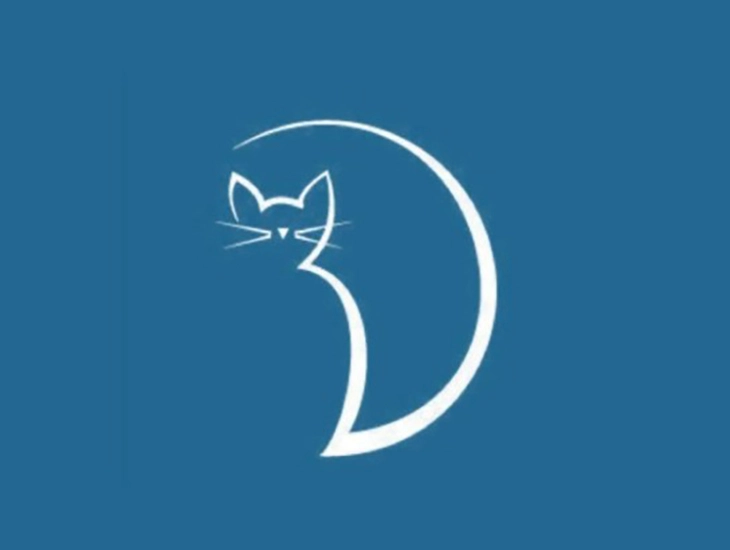 quiz - Ảnh 1.