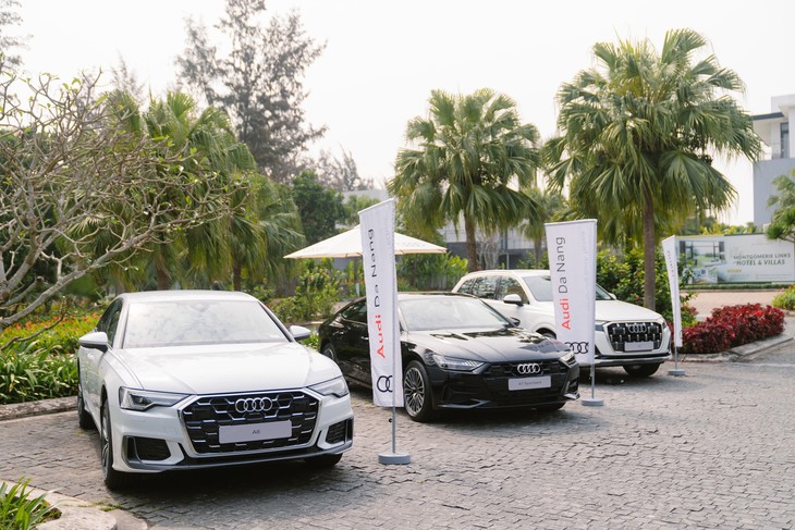 Audi - Ảnh 1.