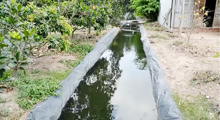 Trữ nước chống hạn, cẩn thận mầm bệnh từ muỗi - Ảnh 1.