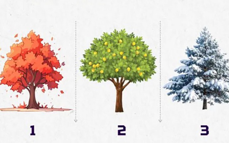 Quiz: Bạn nhìn nhận cuộc sống theo hướng sâu sắc và khôn ngoan? - Ảnh 4.