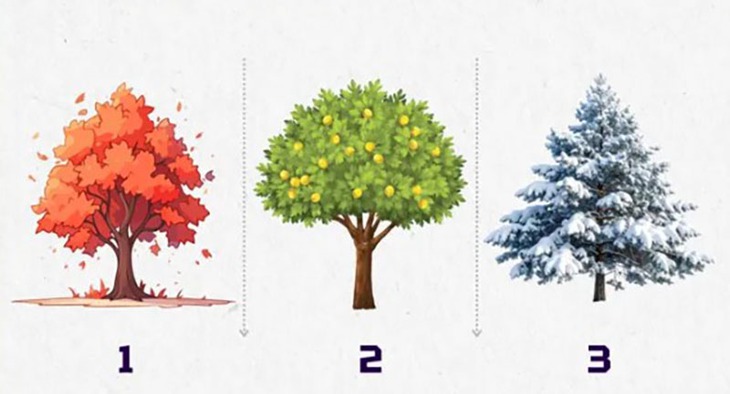 quiz - Ảnh 1.