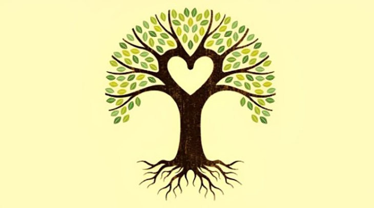 quiz - Ảnh 1.
