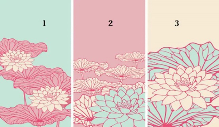 quiz - Ảnh 1.