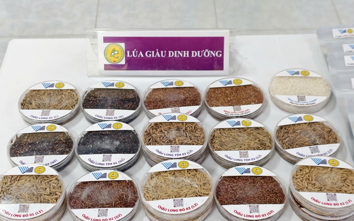 Chuyển trọng tâm từ tăng số lượng sang nâng cao chất lượng hợp tác xã - Ảnh 2.