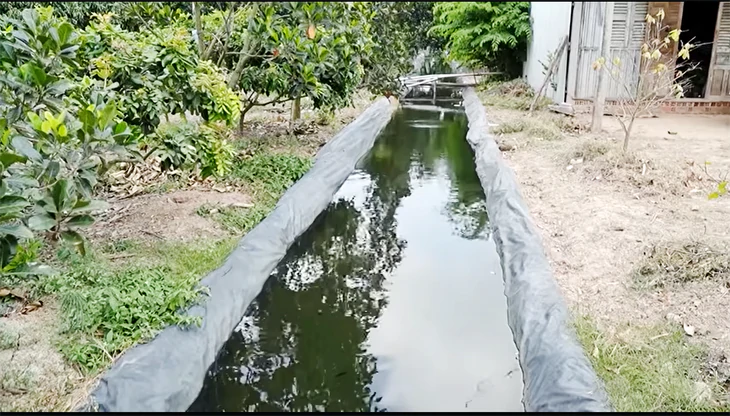 Xâm nhập mặn đến sớm, vào sâu 70-130km, làm gì để bảo vệ 250.000ha lúa và cây ăn trái ở miền Tây? - Ảnh 3.