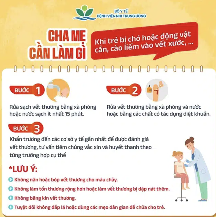 Trẻ 14 tuổi mắc bệnh dại sau 6 tháng bị chó cắn - Ảnh 1. bệnh dại - Ảnh 1.