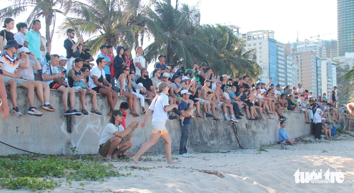 vật bãi biển - Ảnh 4.