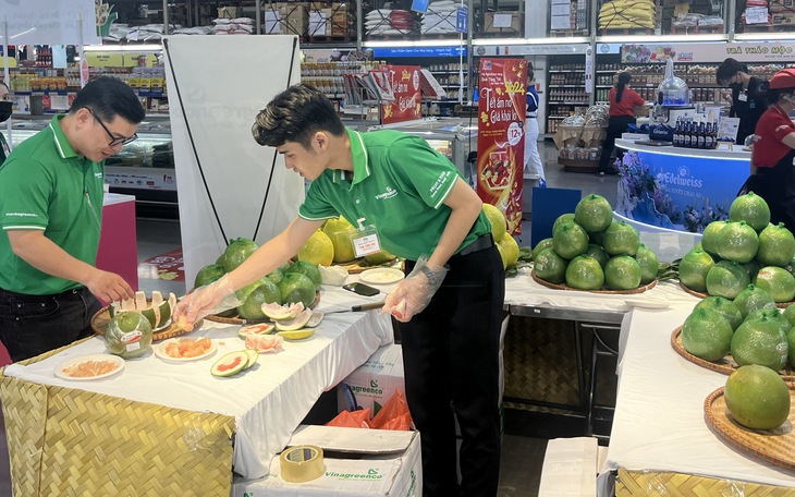 Đưa con giấm trở thành chìa khóa cho công nghiệp bao bì - Ảnh 3.