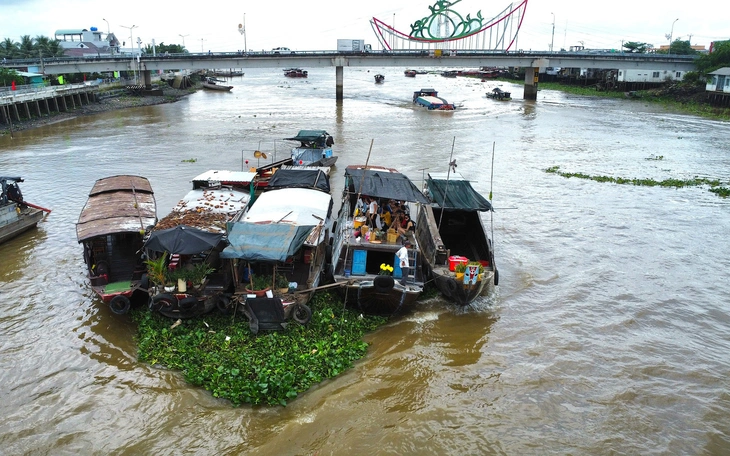 15 xã ở Vĩnh Long giữ nguyên tên lên phường, xã Trung Thành lên đời đổi thành phường Vũng Liêm - Ảnh 3.