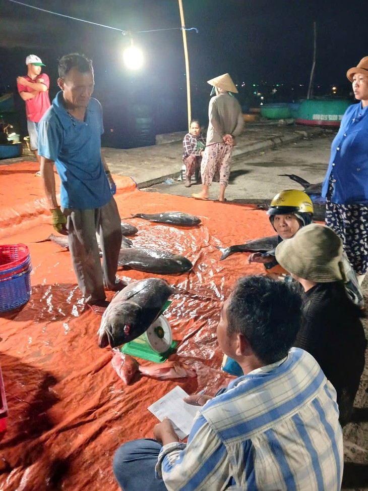 Một ngày nhiều sức sống ở cảng cá Liên Hương - Ảnh 5.