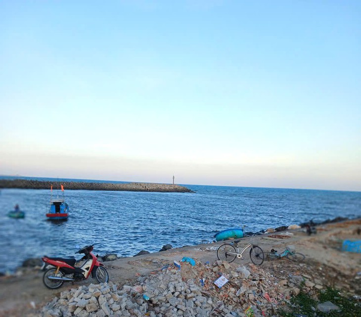 Liên Hương - Ảnh 22.