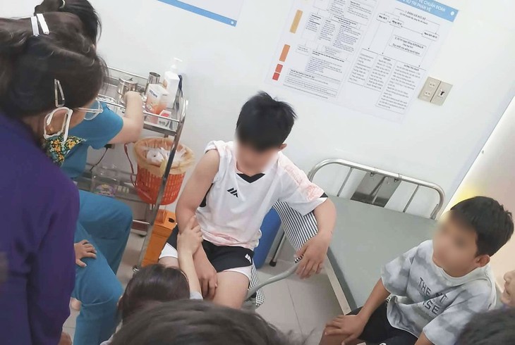 Con chó nghi mắc bệnh dại cắn liên tiếp 6 người ở Nghệ An - Ảnh 1.