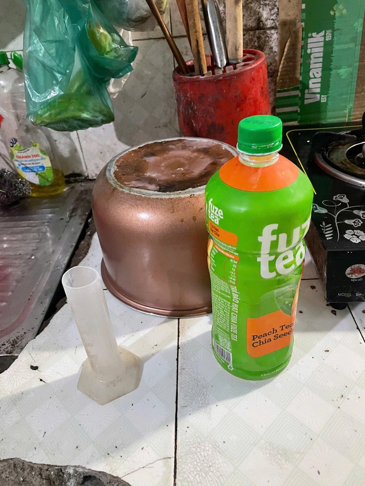 giá đỗ - Ảnh 4.
