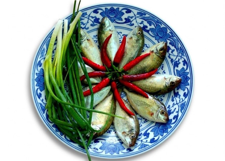 cá kình - Ảnh 7.