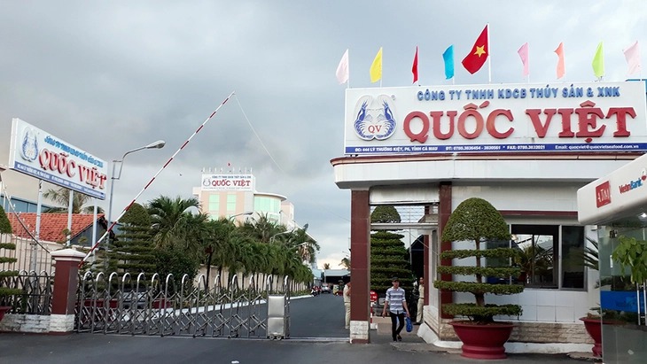 Sai phạm qua nhiều đời lãnh đạo, 28 lao động 'mắc kẹt quyền lợi' vì nợ bảo hiểm xã hội - Ảnh 2.