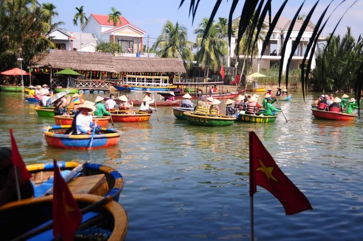 Rừng dừa Cẩm Thanh - Ảnh 1.