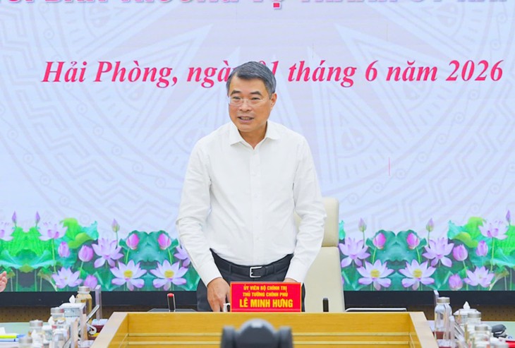 lê minh hưng - Ảnh 2.