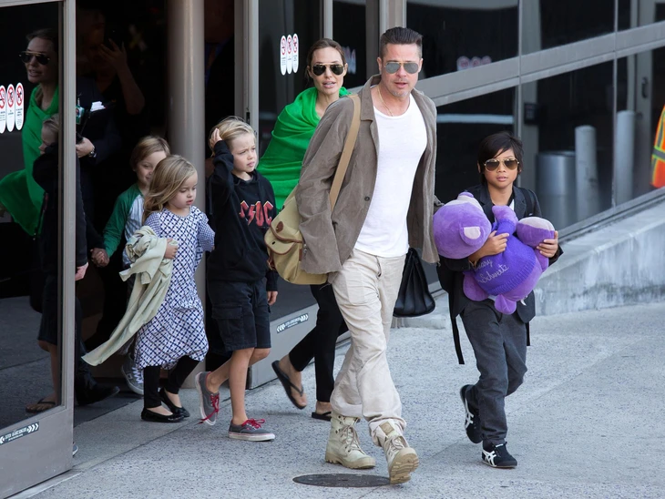 Brad Pitt đón tin buồn khi con gái nuôi nộp đơn bỏ họ cha - Ảnh 4.