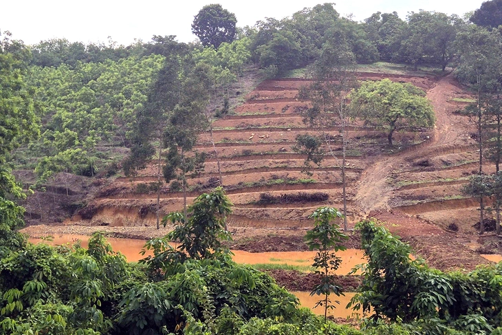 Đồng Nai - Ảnh 2.