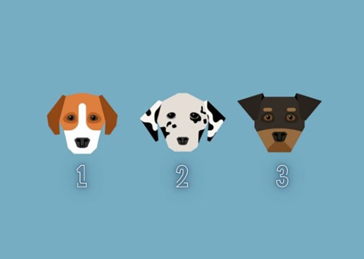 quiz - Ảnh 1.