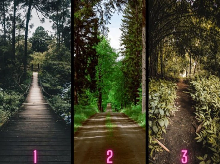 quiz - Ảnh 1.