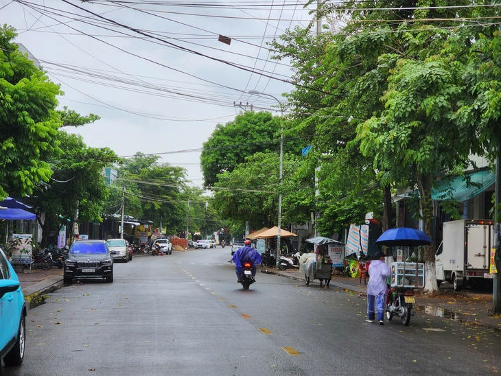 Quảng Ngãi - Ảnh 2.