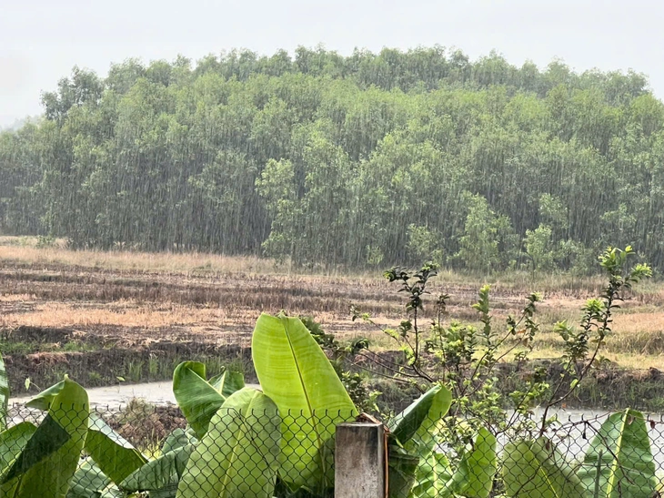 Trận mưa ‘quý như vàng’ giải nhiệt Quảng Ngãi đúng thời điểm thi tốt nghiệp THPT - Ảnh 4.