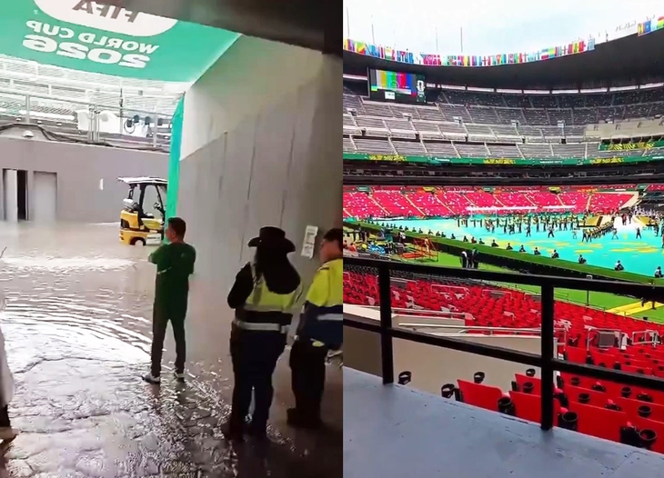 World Cup - Ảnh 1.