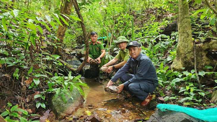 quý hiếm - Ảnh 3.