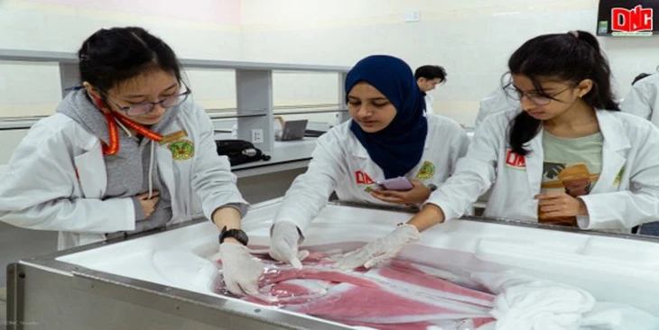 Trường đại học Nam Cần Thơ: Mở rộng môi trường học tập cho sinh viên quốc tế - Ảnh 2.