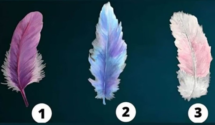 quiz - Ảnh 1.