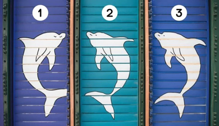 quiz - Ảnh 1.
