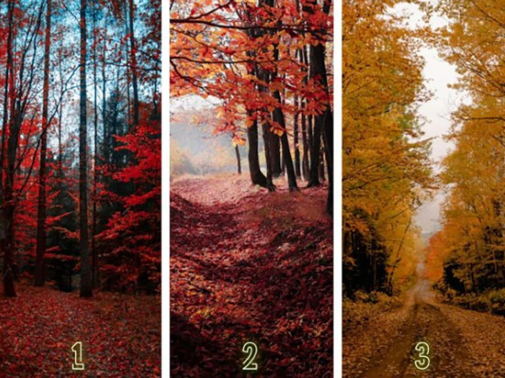 quiz - Ảnh 1.