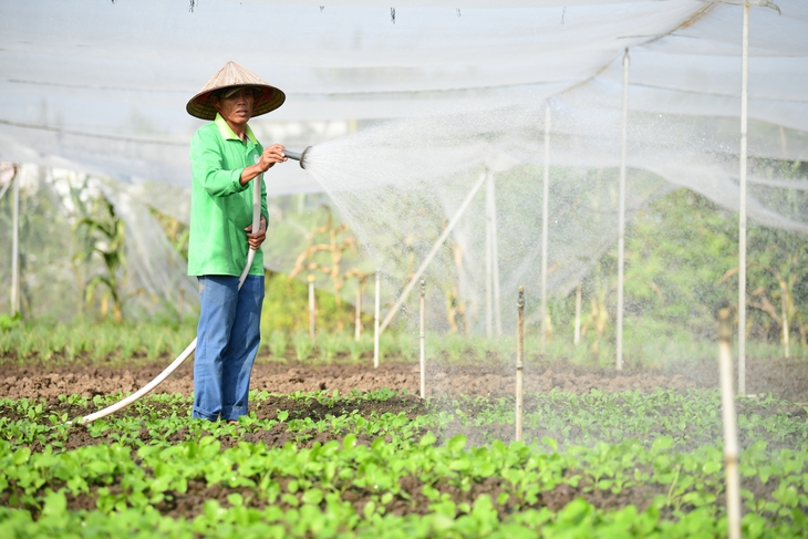 Dạy nhà nông nghệ thuật đặt câu hỏi cho AI - Ảnh 2.