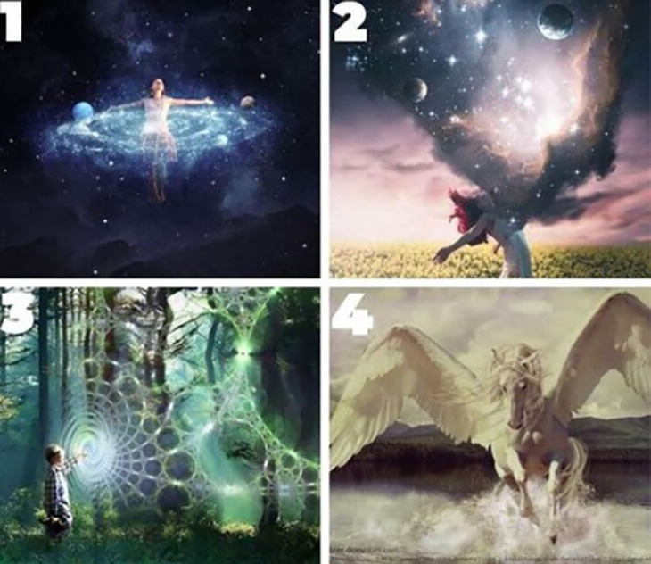 quiz - Ảnh 1.