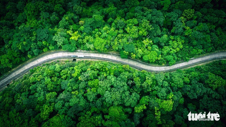 Việt Nam chốt ngày khai trương sàn giao dịch carbon, sẵn sàng 'hứng' tỉ USD từ thị trường quốc tế - Ảnh 1. carbon - Ảnh 1.