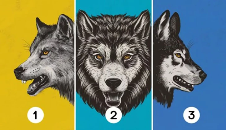 quiz - Ảnh 1.