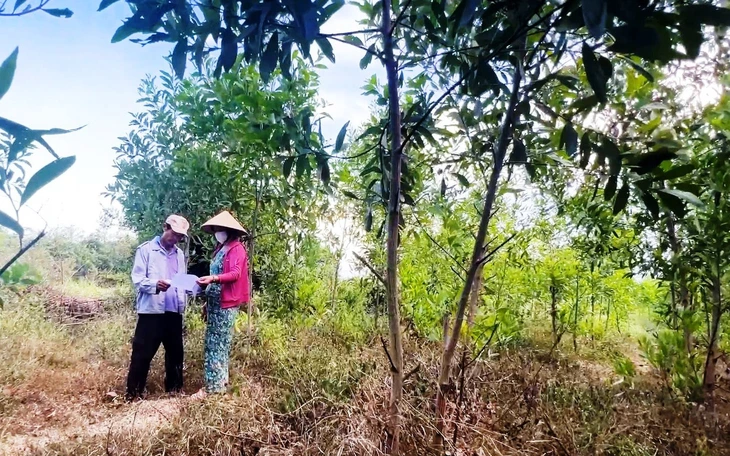 Thu hồi dự án FLC nhưng 'quên' hủy quyết định thu hồi đất: sẽ rà soát, xử lý - Ảnh 2.