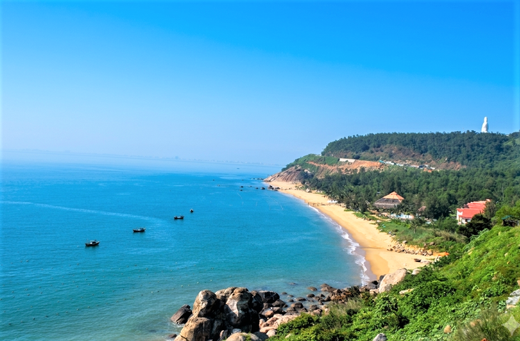 Đậm đà hương biển trong từng món mực cơm Đà Nẵng - Ảnh 7. mực cơm - Ảnh 3.