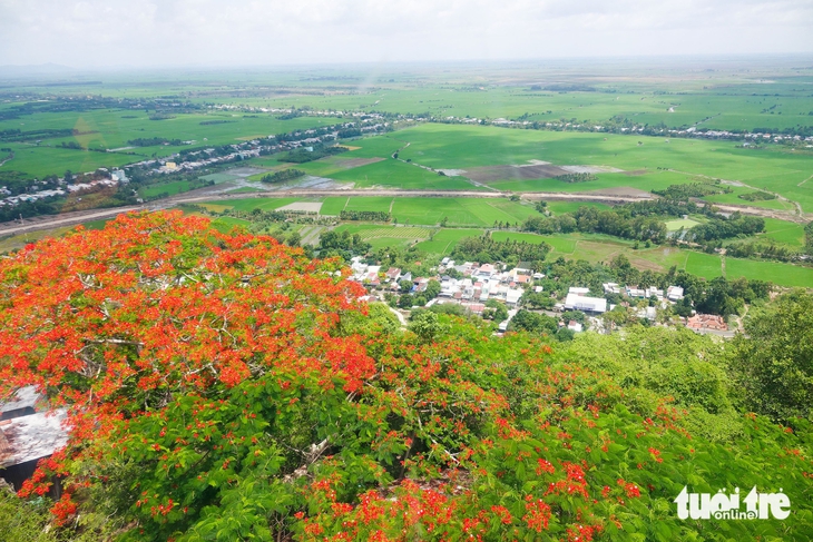Về viếng Bà Chúa Xứ núi Sam, ngắm hoa phượng nở rực đỏ ngày hè - Ảnh 3.