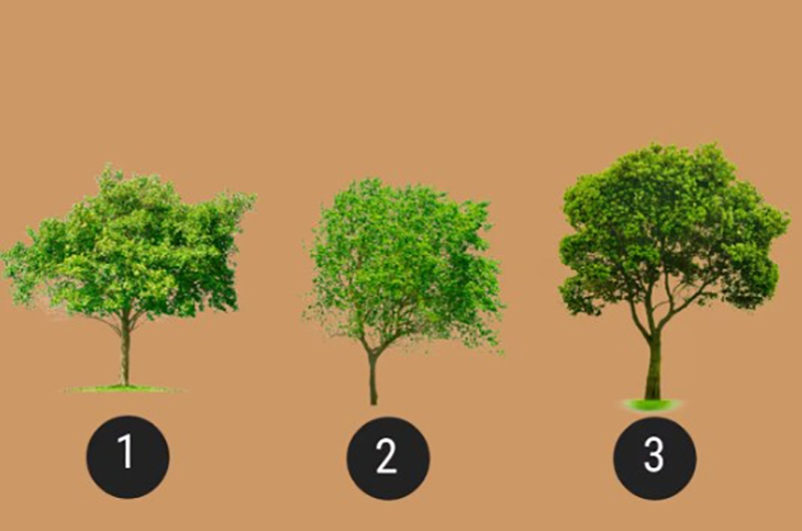 quiz - Ảnh 1.