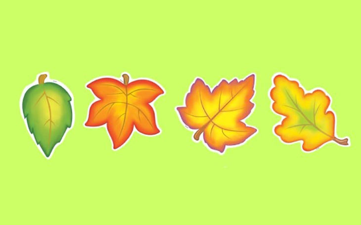 Quiz: Triết lý sống của bạn là gì? - Ảnh 4.