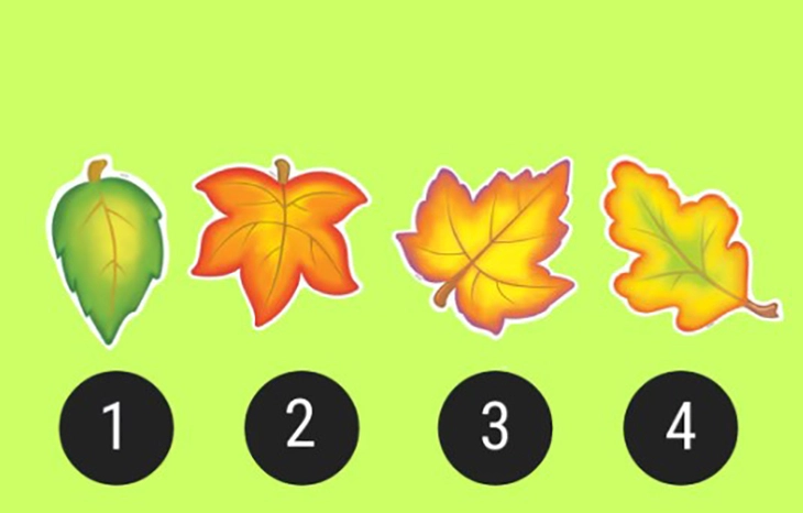 quiz - Ảnh 1.