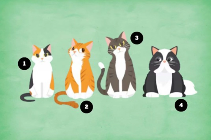 quiz - Ảnh 1.