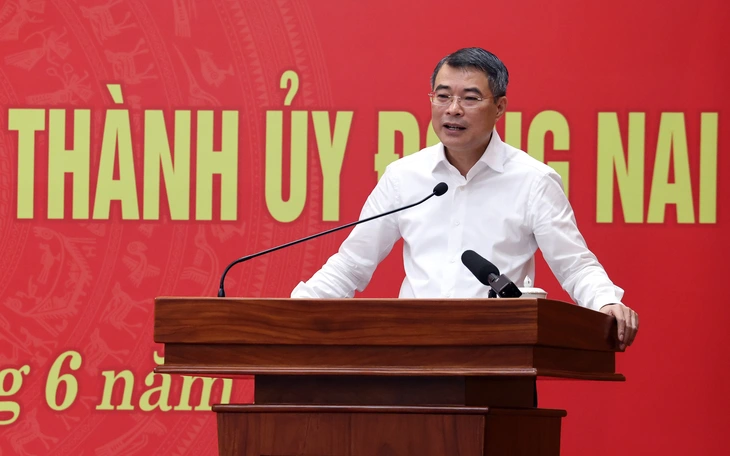 Đồng Nai - Ảnh 1.
