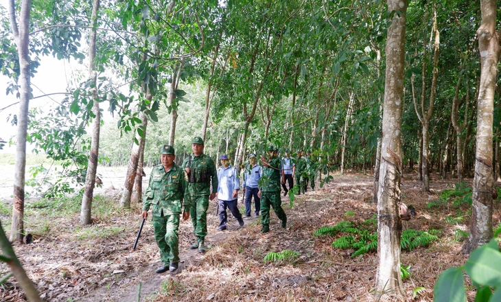 VRG - Ảnh 4.